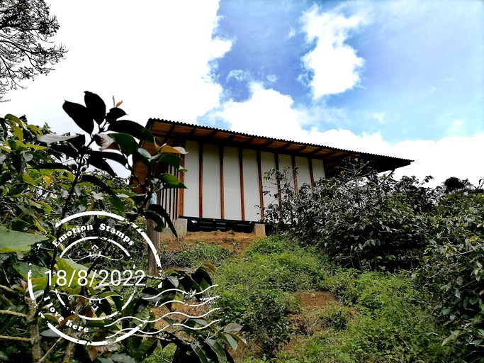 Cabins (Colombia, Córdoba, Quindío)