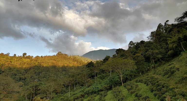 Cabins (Colombia, Córdoba, Quindío)