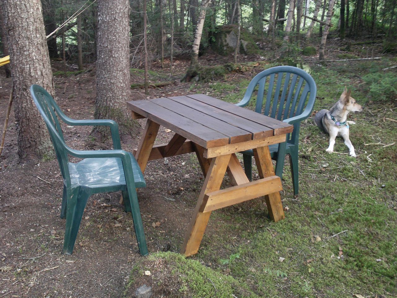 Off-The-Grid Bell Tent Retreat into Nature near the Laurentian Mountains in Quebec