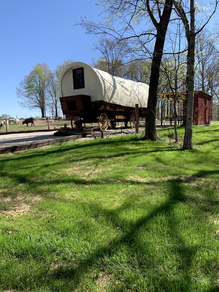 Charming Covered Wagon on Live Petting Zoo for Memorable Family Glamping Stays in Brownsville, Kentucky