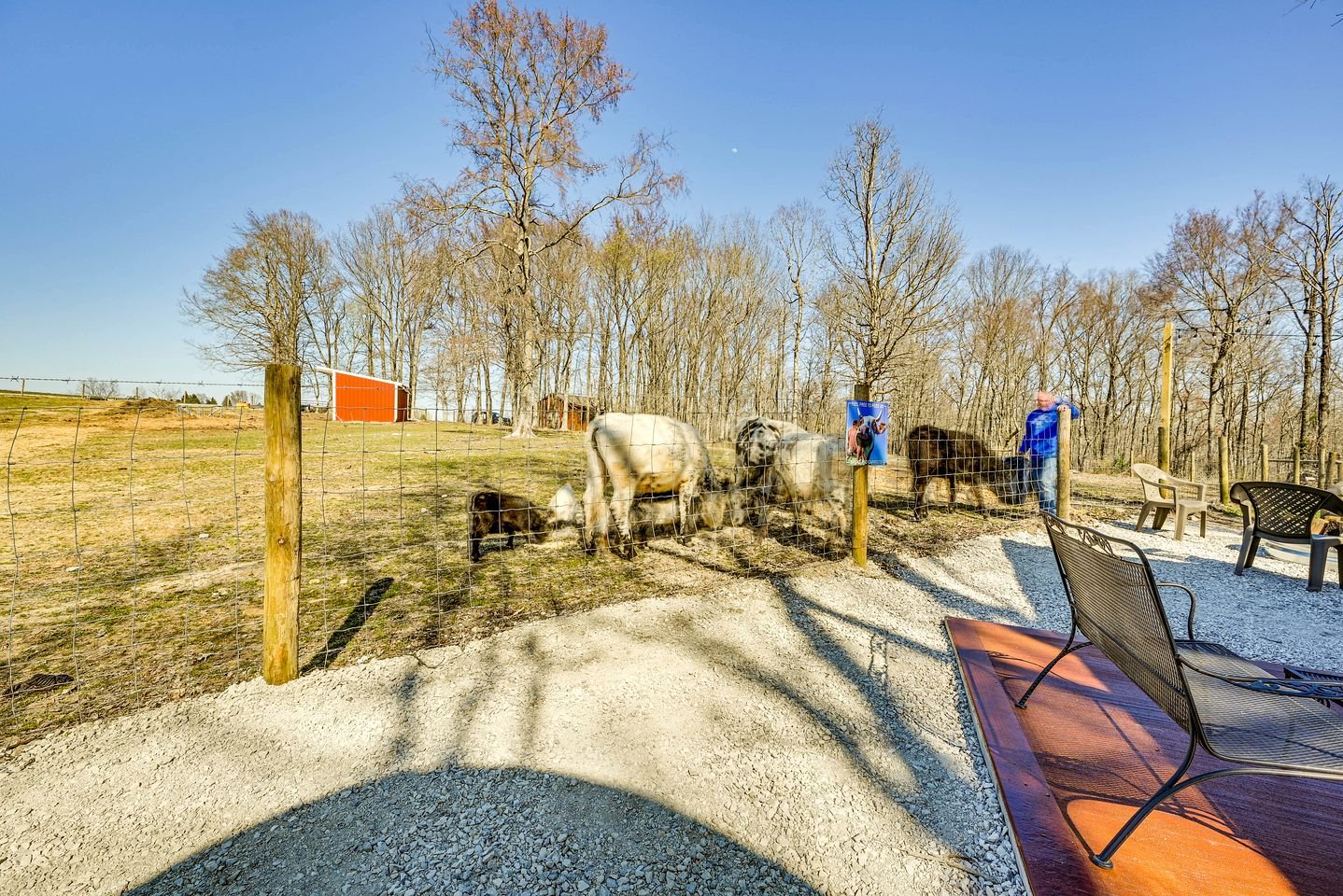 Charming Covered Wagon on Live Petting Zoo for Memorable Family Glamping Stays in Brownsville, Kentucky