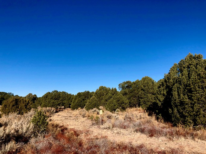 Cottages (United States of America, Carson, New Mexico)