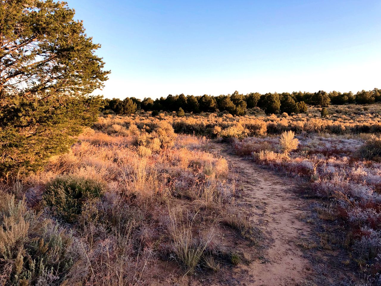 Charming Cottage in Carson for Relaxing Escapes to Nature in New Mexico