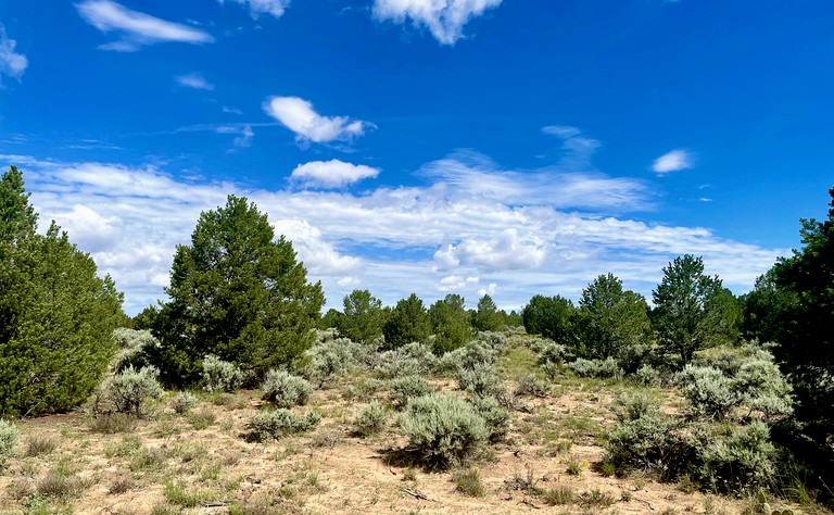 Cottages (United States of America, Carson, New Mexico)