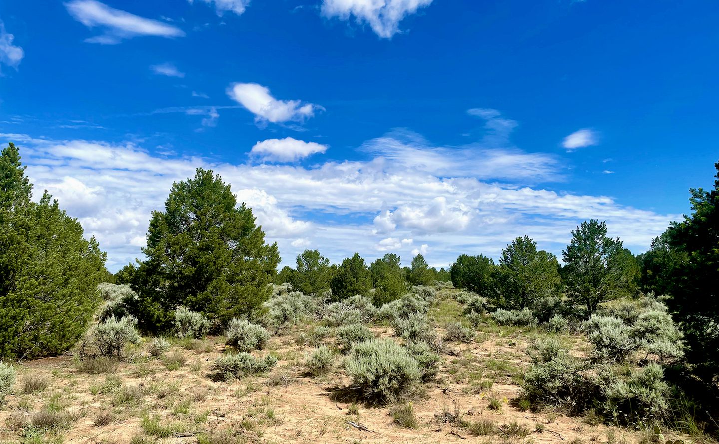 Charming Cottage in Carson for Relaxing Escapes to Nature in New Mexico