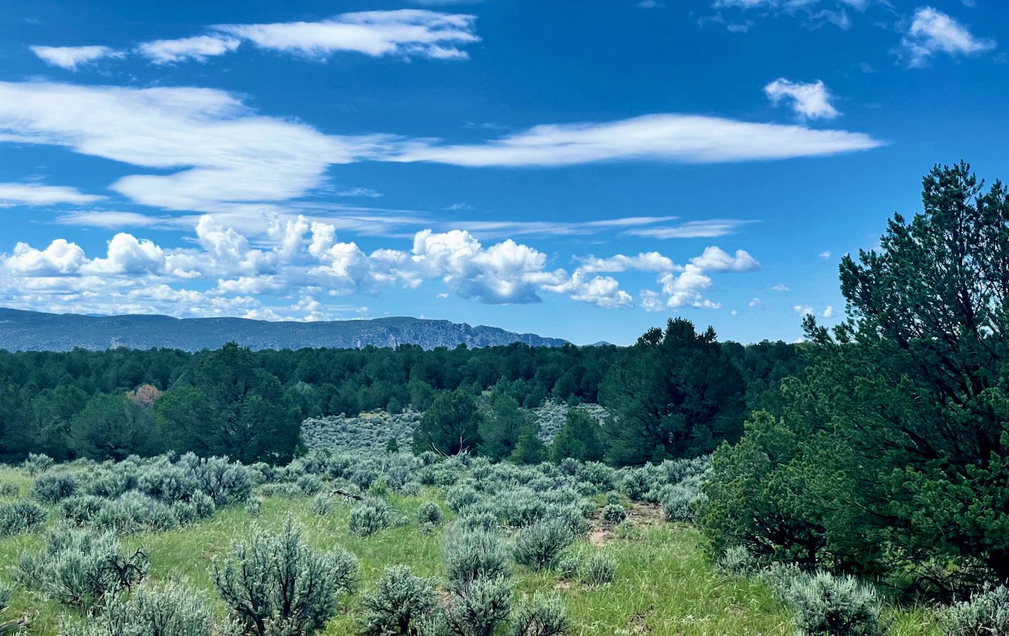 Charming Cottage in Carson for Relaxing Escapes to Nature in New Mexico
