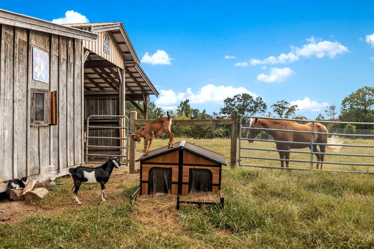 Tented Cabins (United States of America, LaFayette, Georgia)