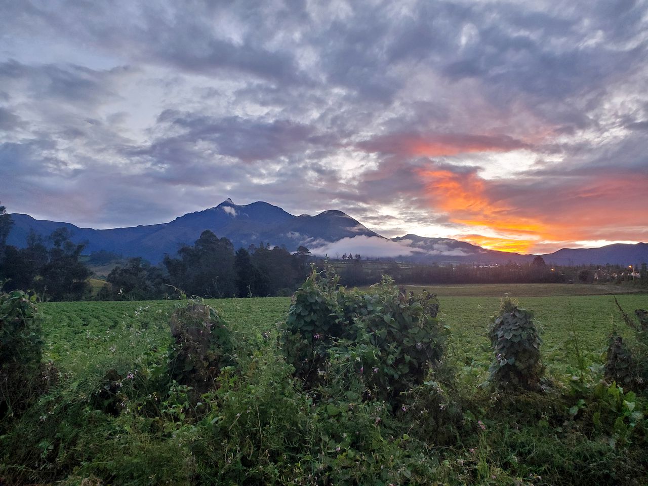 Luxury Dome for Getting Back to Nature in the Stunning Ecuadorian Countryside