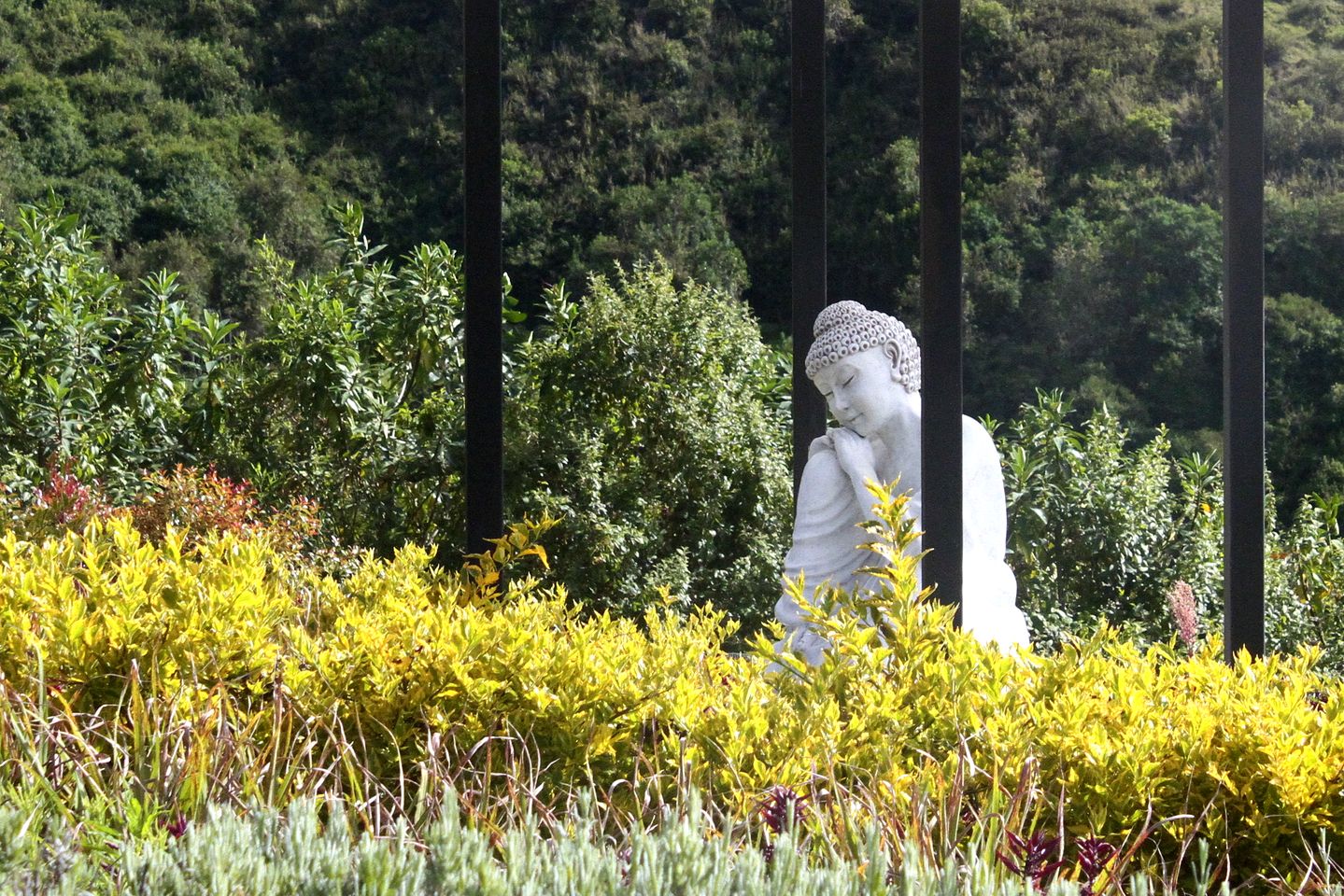 Stunning Glamping Dome in Ecuador, Perfect for Retreats in Nature