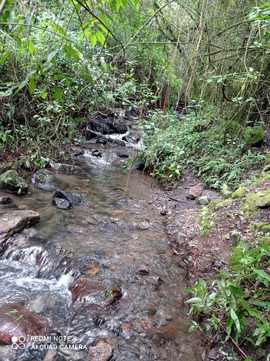 Domes (Ecuador, Peribuela, Imbabura)