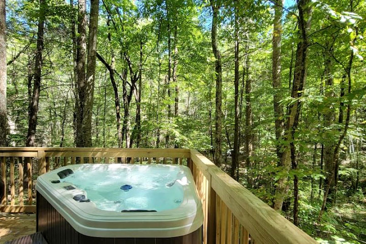 Amazing Pet-Friendly Tiny House Rental with Hot Tub in the Chattahoochee National Forest, Georgia