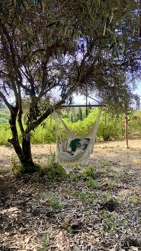 Bell Tents (Spain, Cartama, Andalusia)