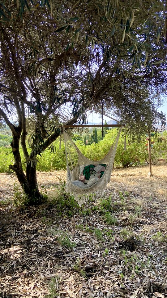 Rustic Bell Tent in Cártama for Glamping Vacations in Southern Spain