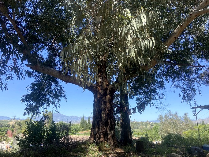 Bell Tents (Spain, Cartama, Andalusia)