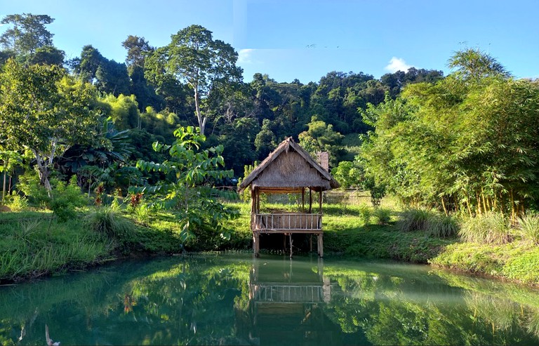 Cabins (Laos, Luang Prabang, Luang Prabang)