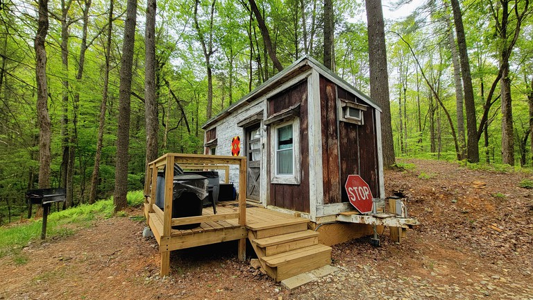 Pet-Friendly Tiny Home Rental in the Chattahoochee National Forest, for Glamping in Georgia