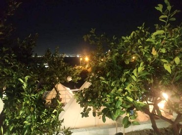 undefined photo 4