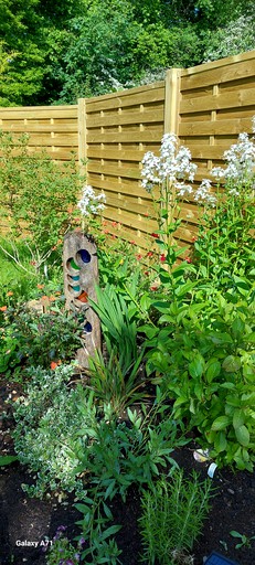 Huts (United Kingdom, Exeter, Devon)