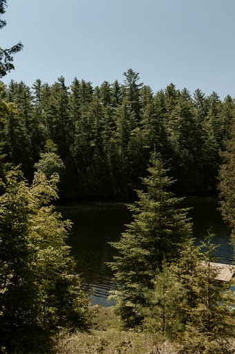 Cabins (Canada, Ompah, Ontario)