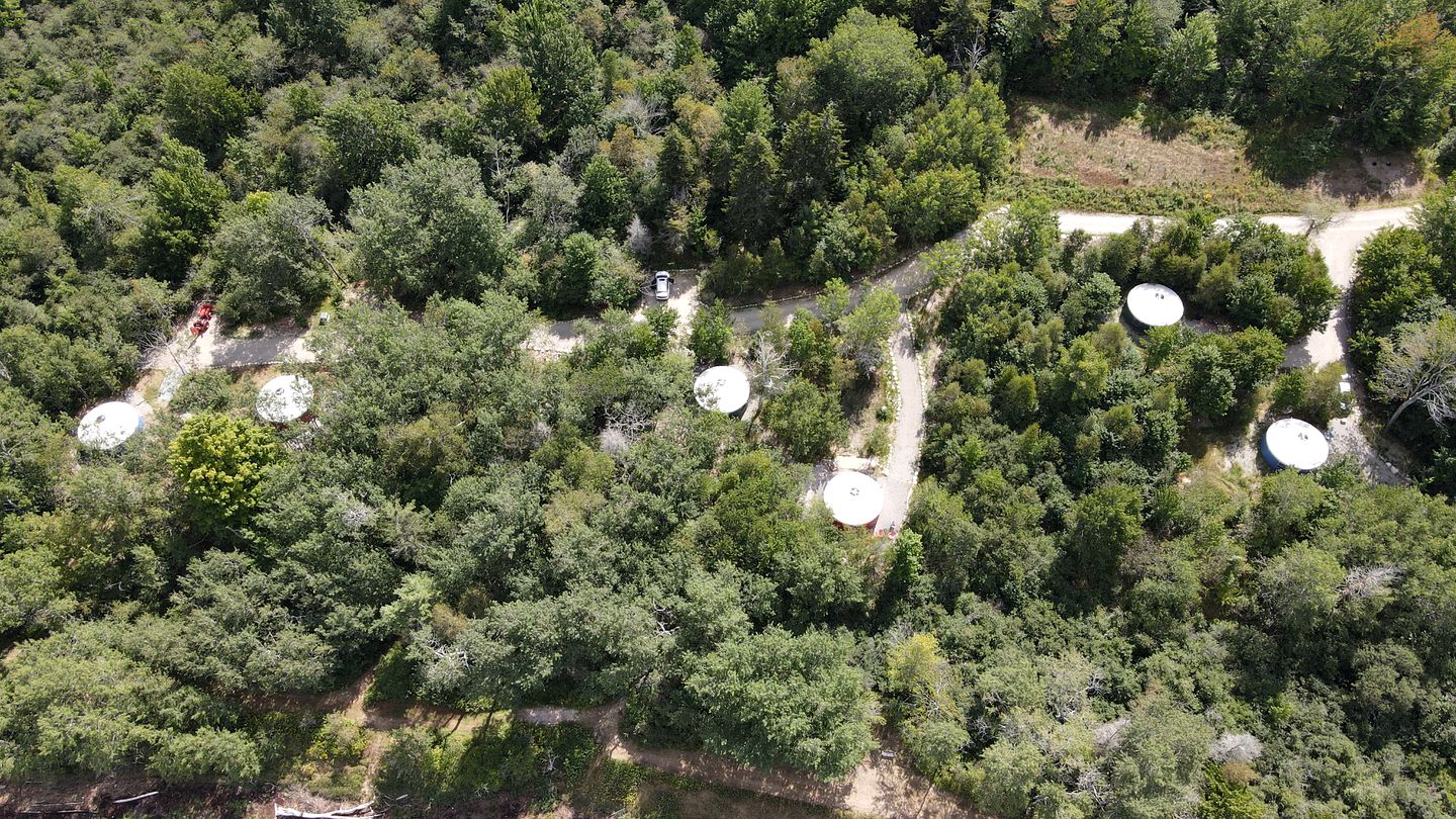 Bluebird yurt