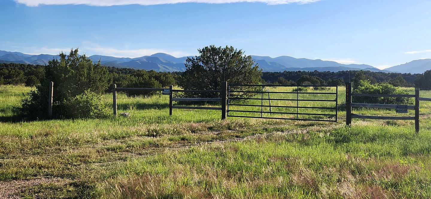 Remote Pet-Friendly Tented Cabin Great for Family Getaways in Colorado