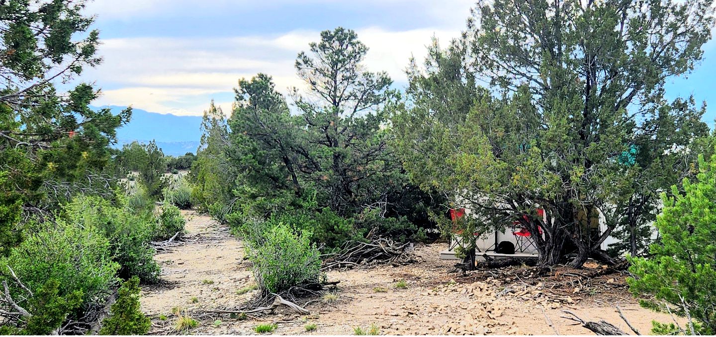 Remote Pet-Friendly Tented Cabin Great for Family Getaways in Colorado