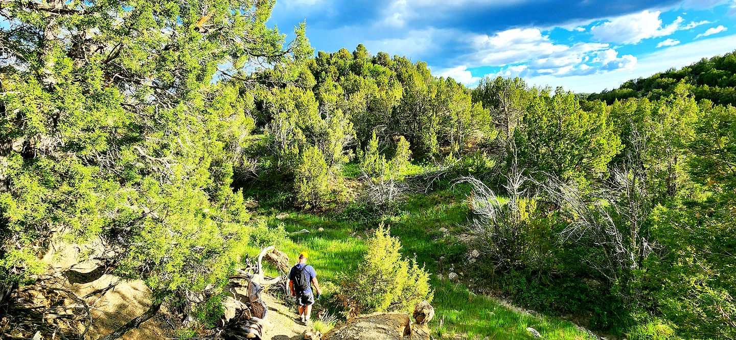 Remote Pet-Friendly Tented Cabin Great for Family Getaways in Colorado