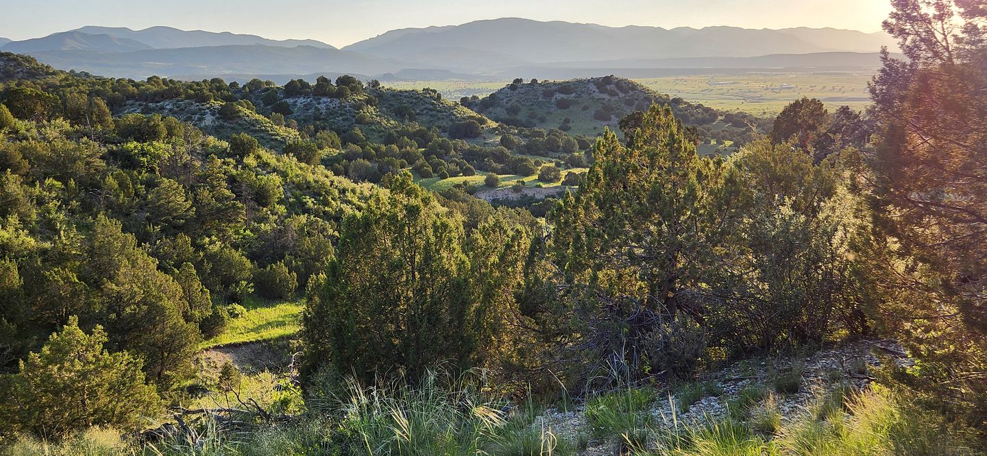 Remote Pet-Friendly Tented Cabin Great for Family Getaways in Colorado
