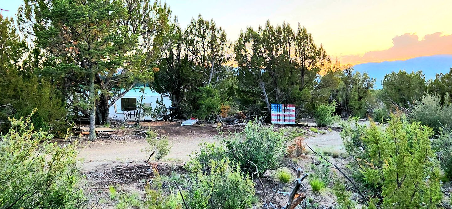 Remote Pet-Friendly Tented Cabin Great for Family Getaways in Colorado