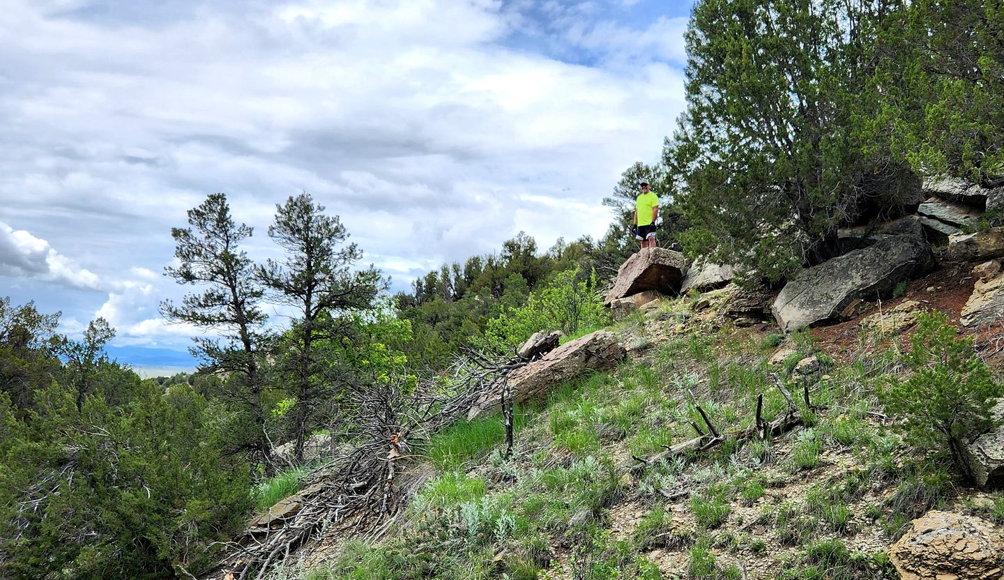 Remote Pet-Friendly Tented Cabin Great for Family Getaways in Colorado