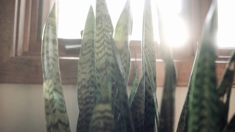 Cabins (United States of America, New Albany, Ohio)