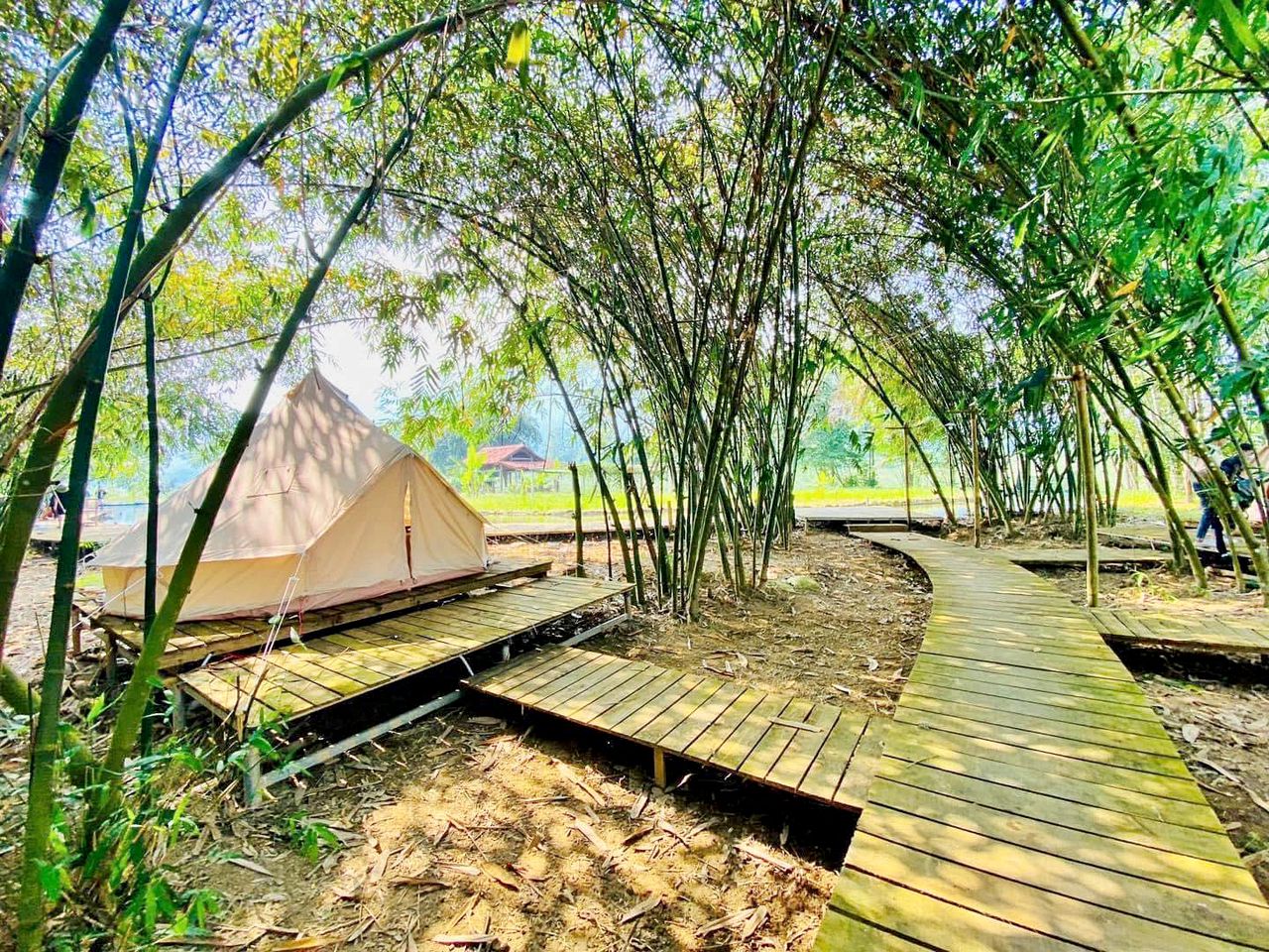Disconnect and Recharge at this Picturesque Bell Tents in Vietnam