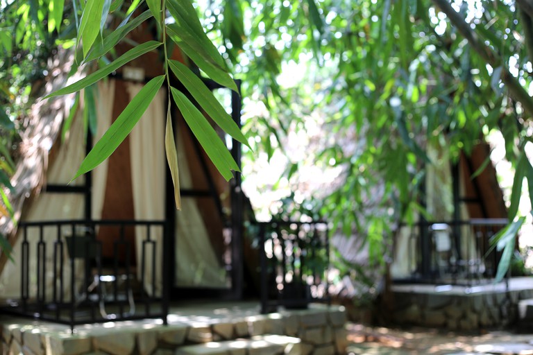 Off-Grid A-Frame Cabins Ideal for Two in Vietnam