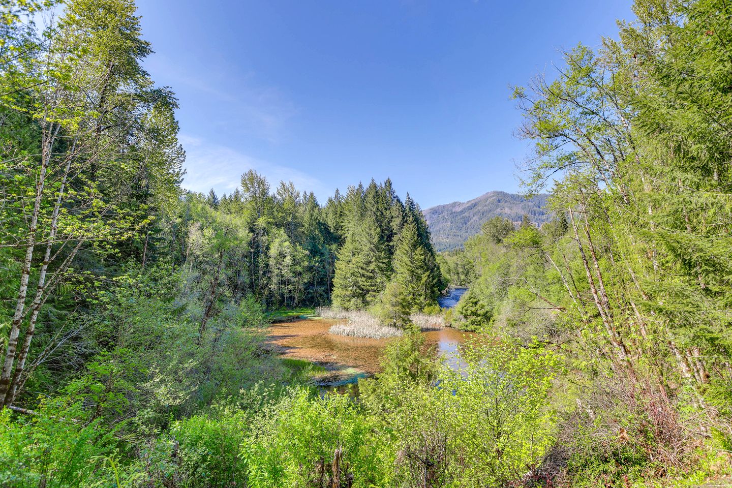 Intimate Creekfront Cabin with Private Sauna near Willamette National Forest