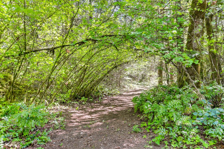 Cabins (United States of America, McKenzie Bridge, Oregon)