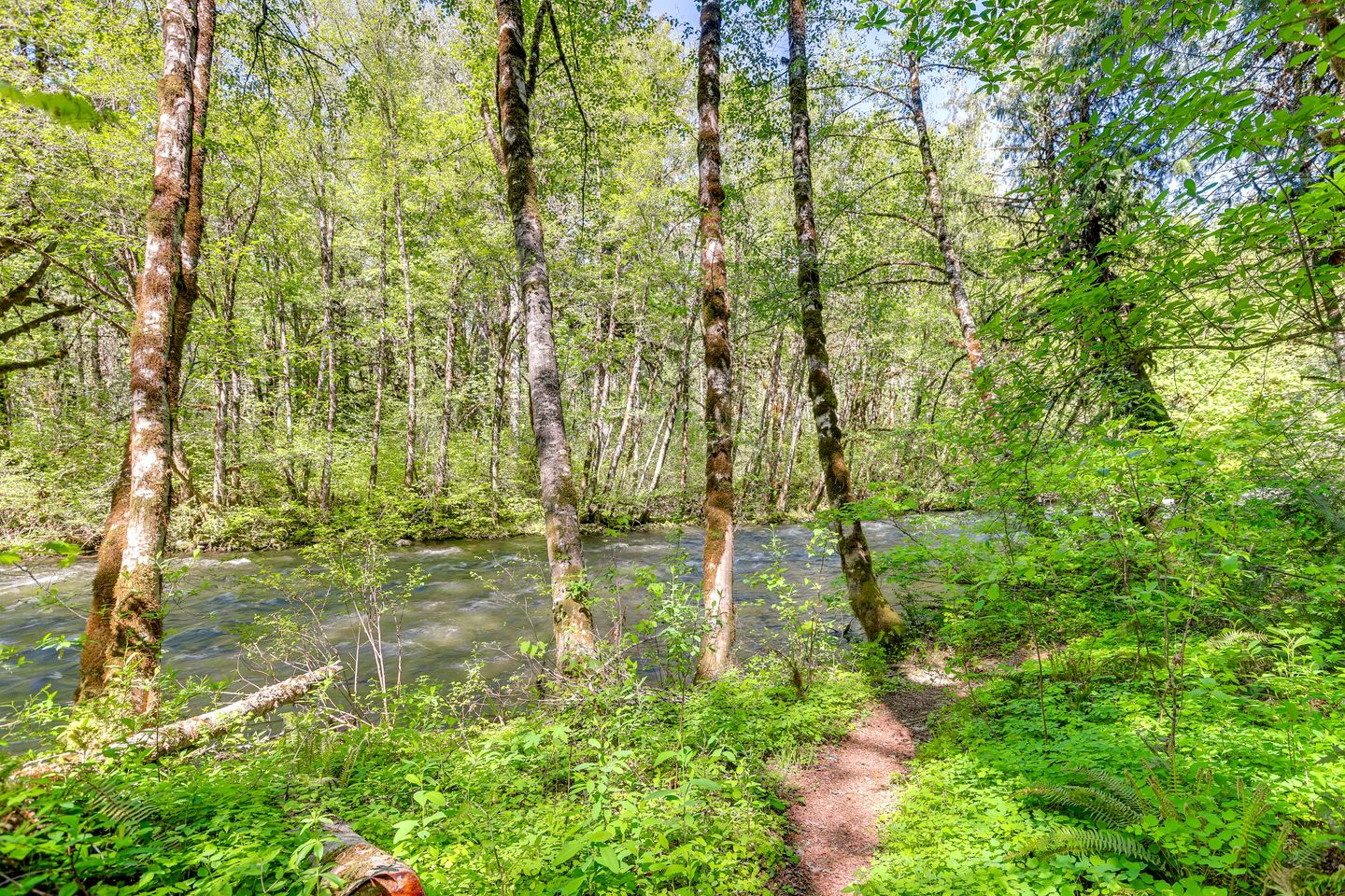 Intimate Creekfront Cabin with Private Sauna near Willamette National Forest