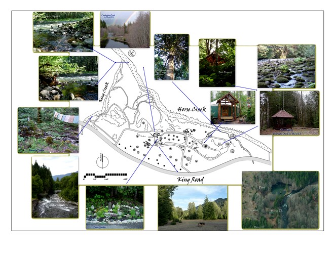 Cabins (United States of America, McKenzie Bridge, Oregon)