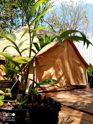 Intimate Romantic Bell Tents with Outdoor Pool in Mexico