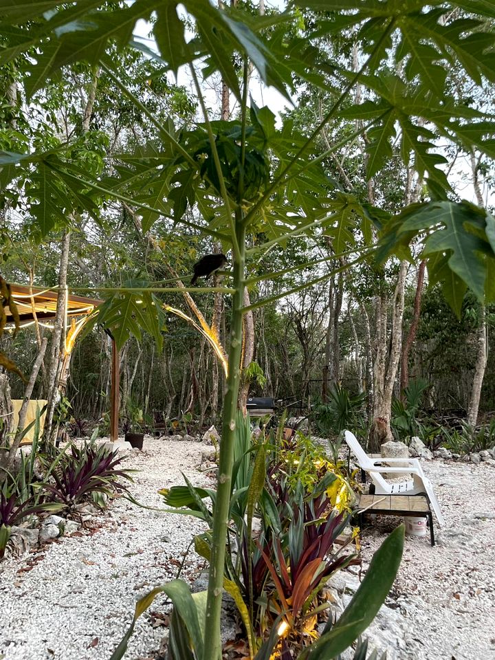 Intimate Romantic Bell Tents with Outdoor Pool in Mexico