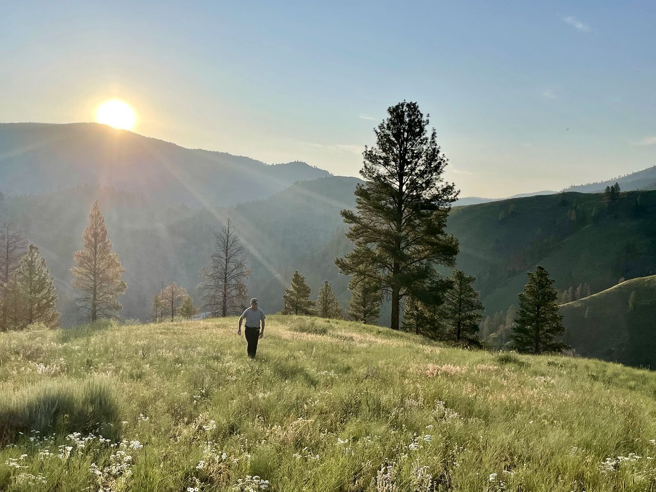 Glamping on the Banks of the Salmon River in this Spacious Safari Tent in Idaho
