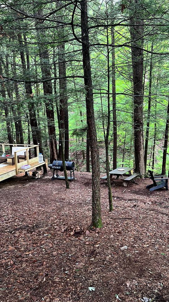 Amazing Equipped Bell Tent Nestled Among Nature in New York