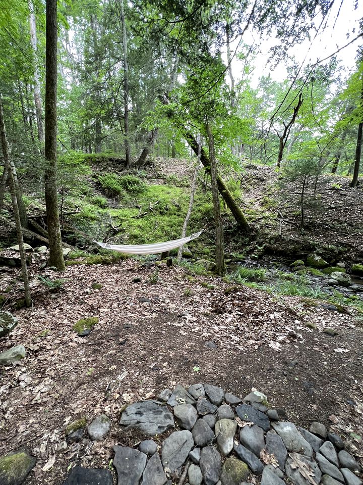 Amazing Equipped Bell Tent Nestled Among Nature in New York