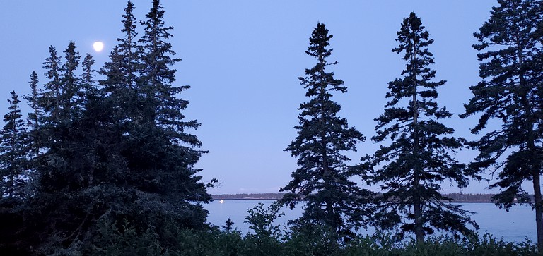 Cabins (United States of America, Steuben, Maine)