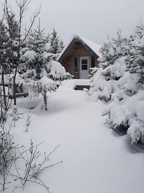 numberOfBedrooms photo 3