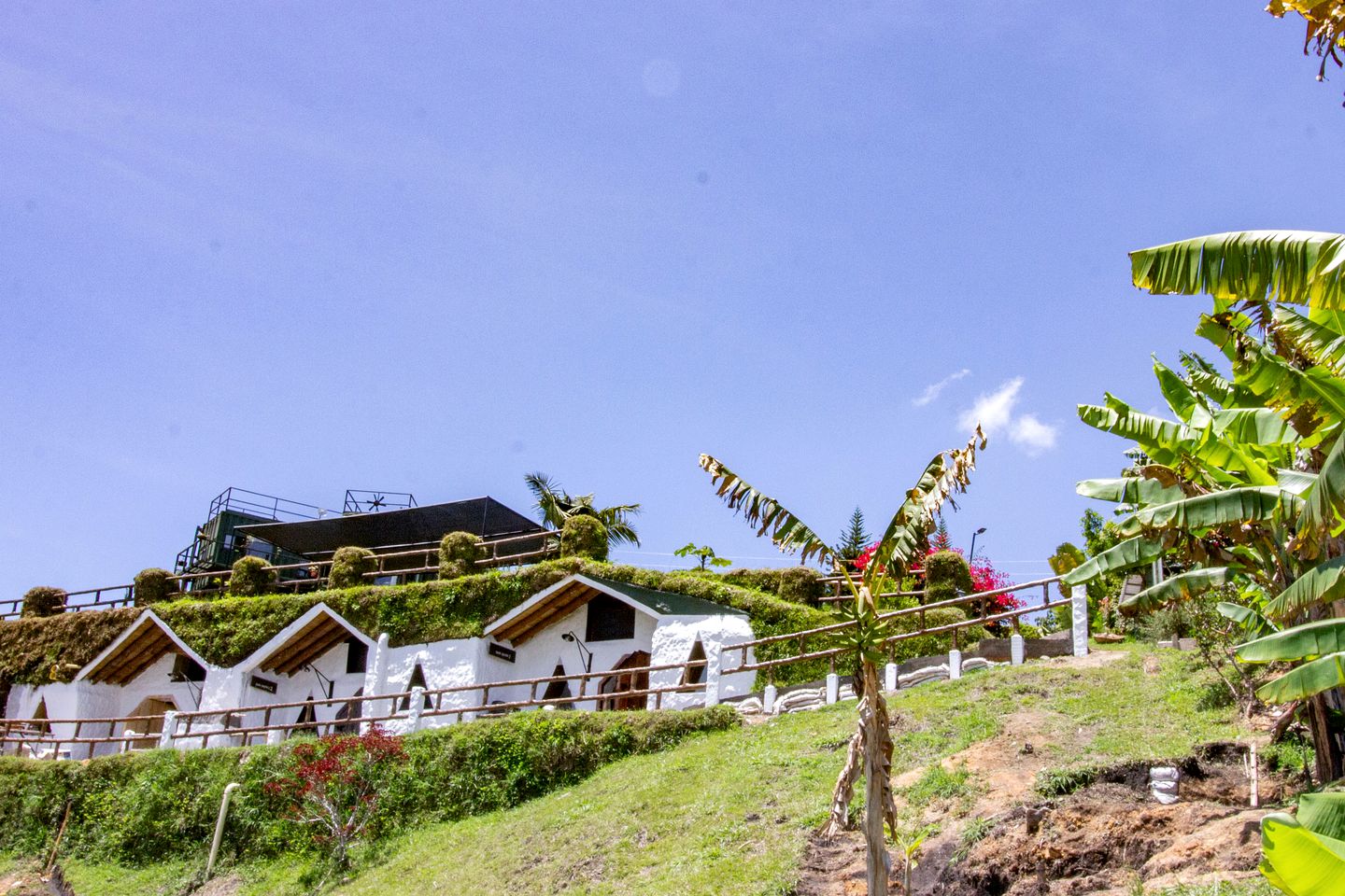 Incredible Hobbit House Ideal for a Special Getaway in Colombia