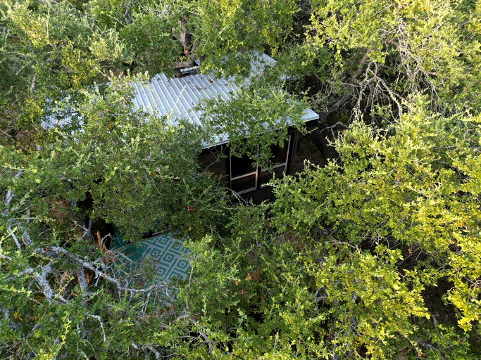 Tree Houses (United States of America, Leander, Texas)