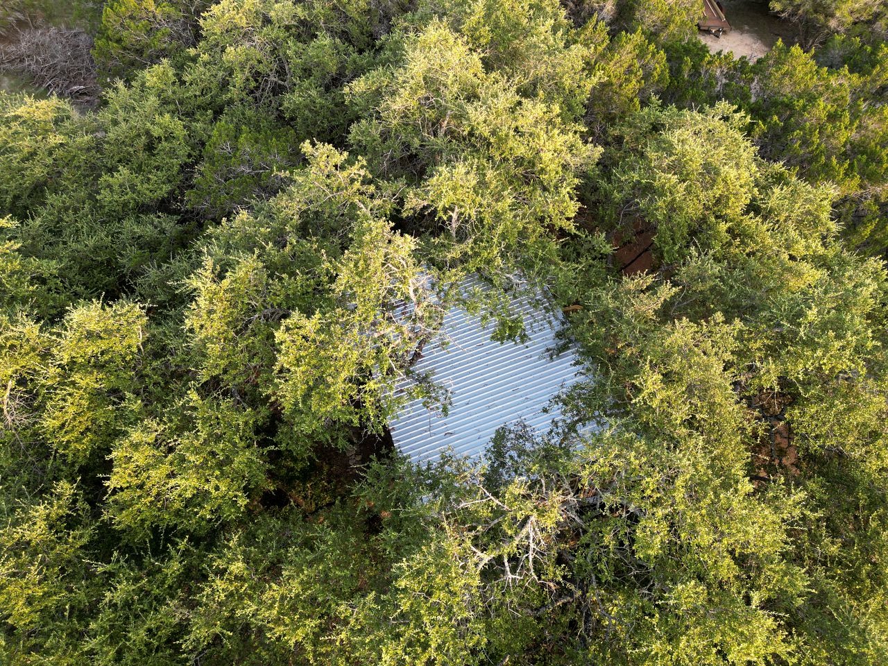 Romantic Escapes to Texas like No Other in this Wonderful Tree House in Leander