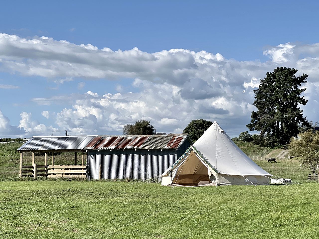 Make your Glamping Deams Come True in this Pop-Up Bell Tent Rental in New Zealand