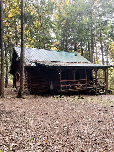 Quaint Cabin Rental in Pennsylvania for Cozy Family Getaways to Cook Forest