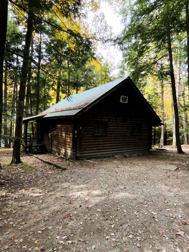 Quaint Cabin Rental in Pennsylvania for Cozy Family Getaways to Cook Forest